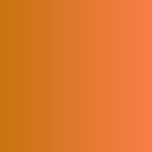 Blog starter